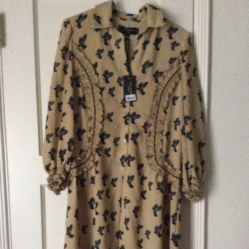NWT Max Studio dress!